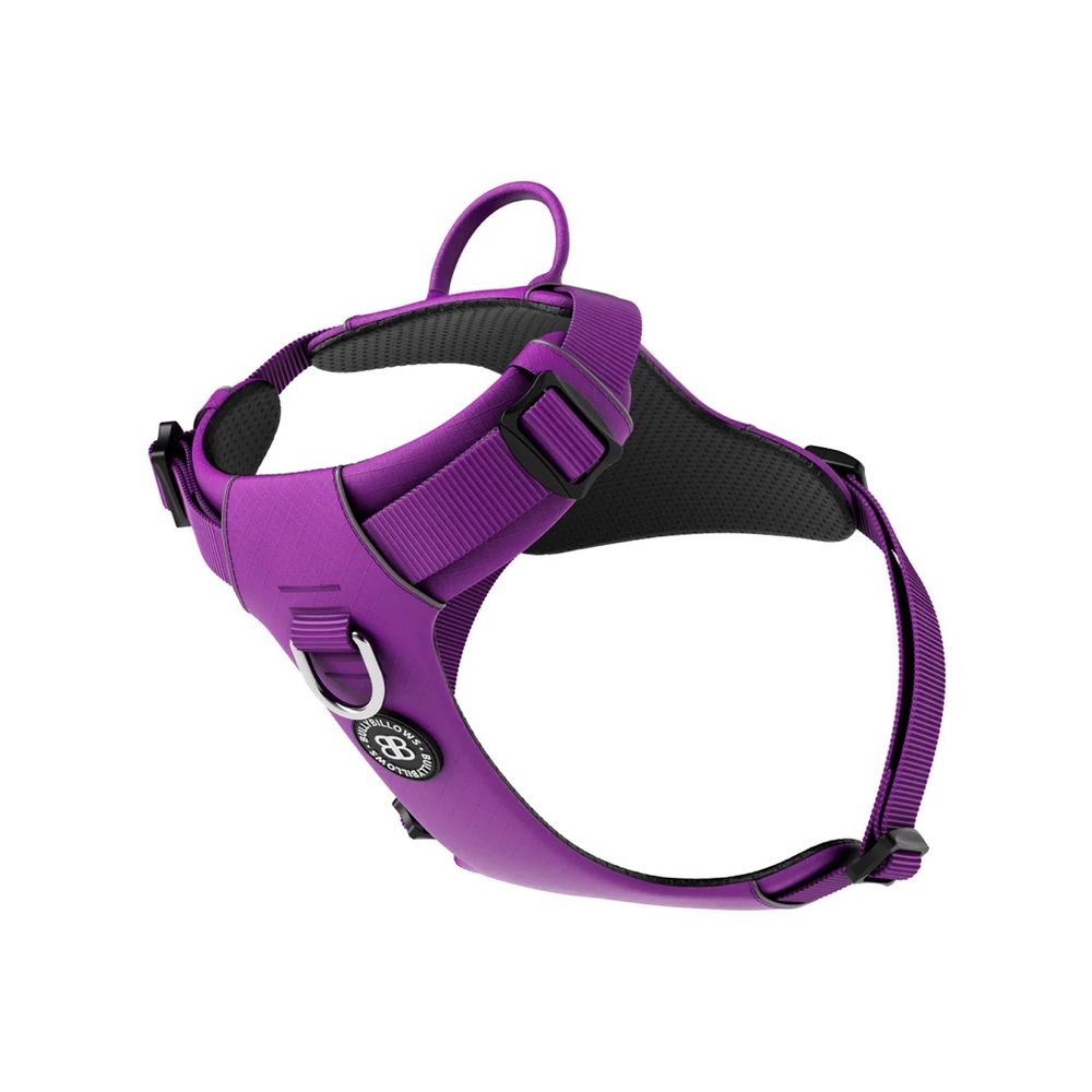 BULLY BILLOWS  Purple Dog Air Harness NEW
